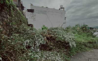 filter: 120; fileterIntensity: 1.0; filterMask: 0; brp_mask:0;
brp_del_th:null;
brp_del_sen:null;
delta:null;
module: photo;hw-remosaic: false;touch: (-1.0, -1.0);sceneMode: 8;cct_value: 0;AI_Scene: (-1, -1);aec_lux: 0.0;aec_lux_index: 0;HdrStatus: off;albedo:  ;confidence:  ;motionLevel: -1;weatherinfo: null;temperature: 40;